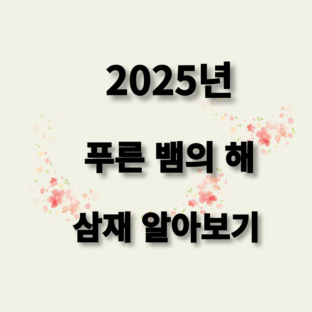 2025년은-무슨해-삼재띠-복삼재띠