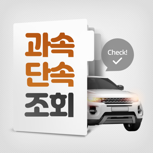 과속단속조히