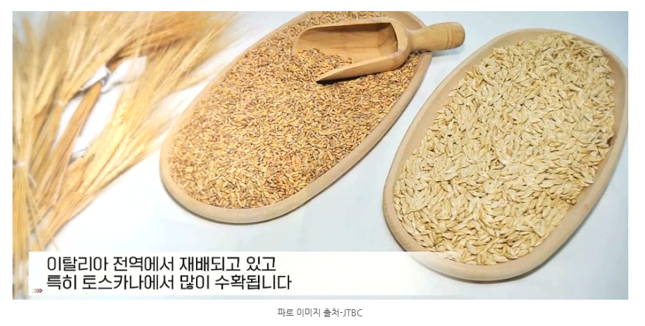 파로 곡물 효소 효능 곡물추천 및 먹는 방법