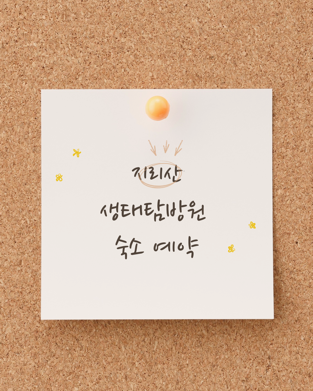 지리산 생태탐방원