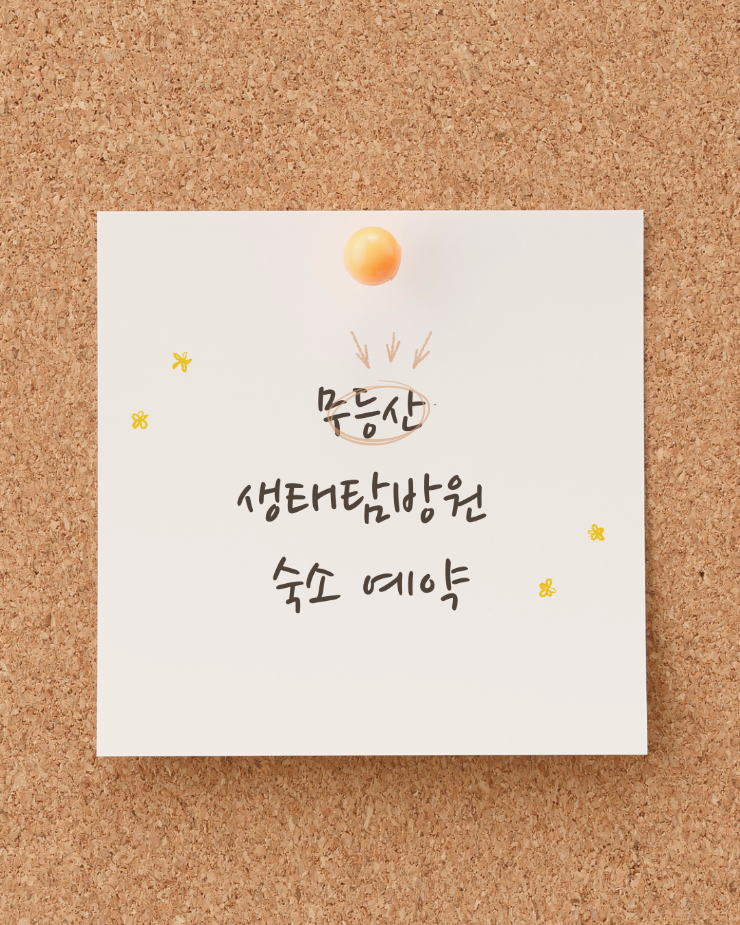 무등산 생태탐방원