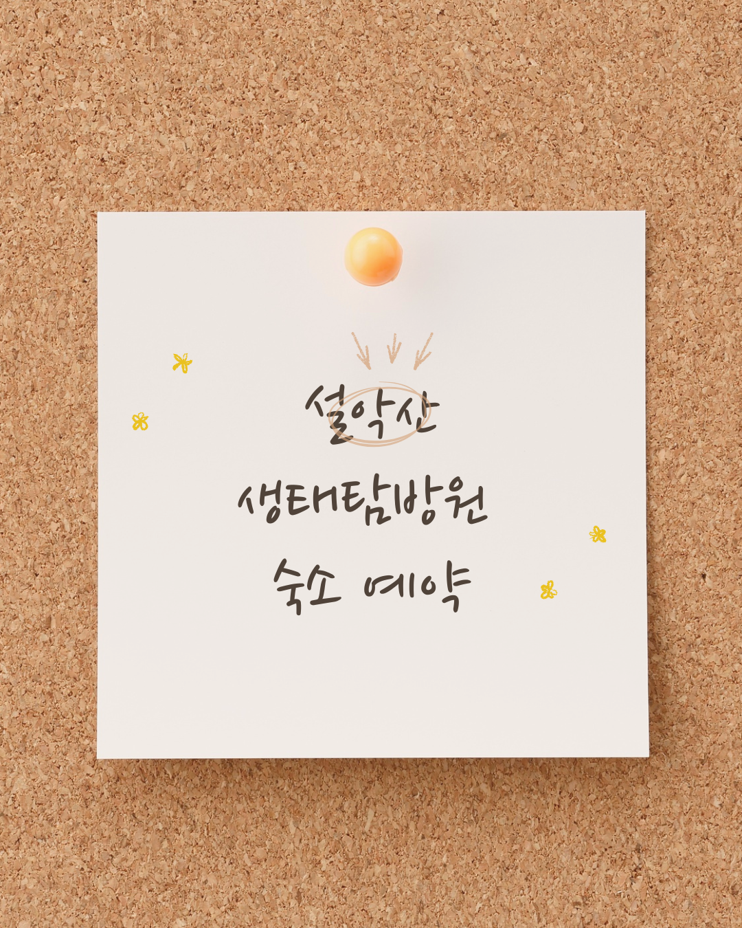 설악산 생태탐방원
