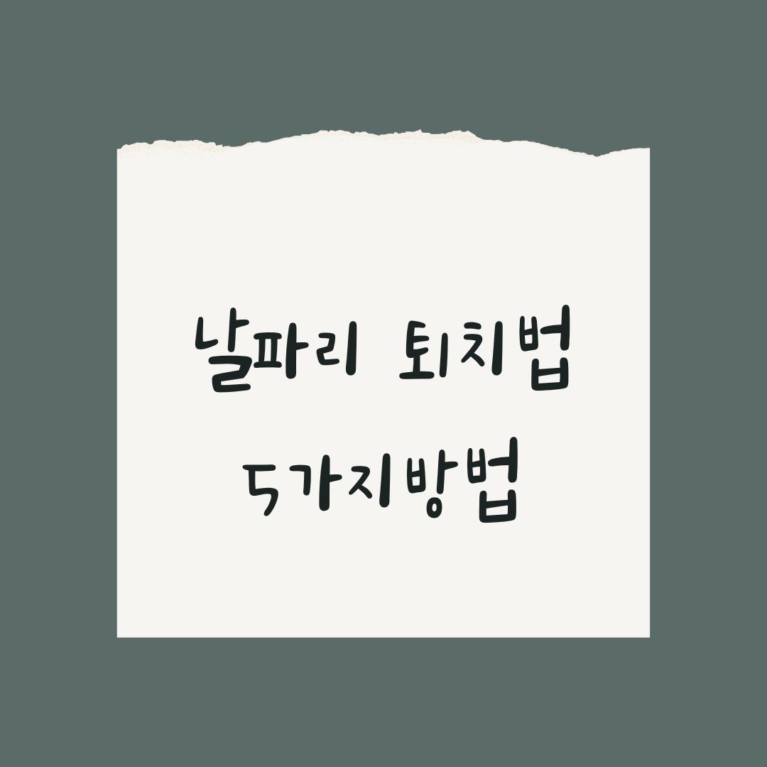 날파리 퇴치